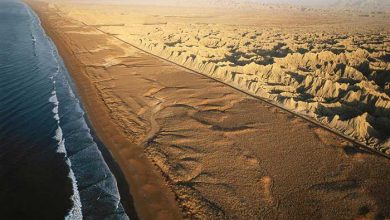 سواحل مکران