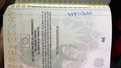 ویزای الکترونیکی