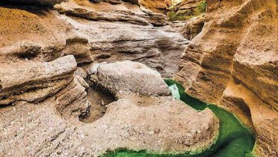 ژئوپارک طبس