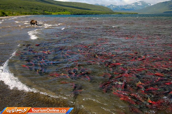 شبهجزیره کامچاتکا