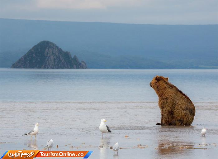 شبهجزیره کامچاتکا