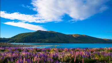 دریاچه پوکاکی