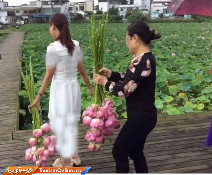 رفتارهای نامناسب توریست ها