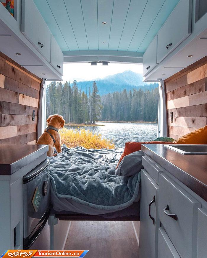 زندگی در ون