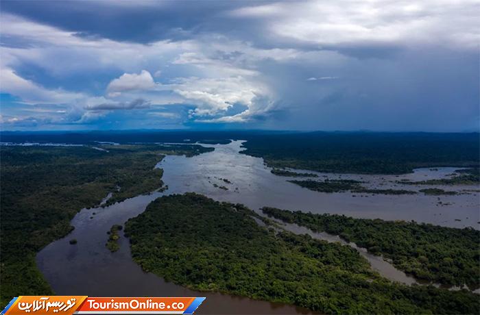 جنگلهای آمازون