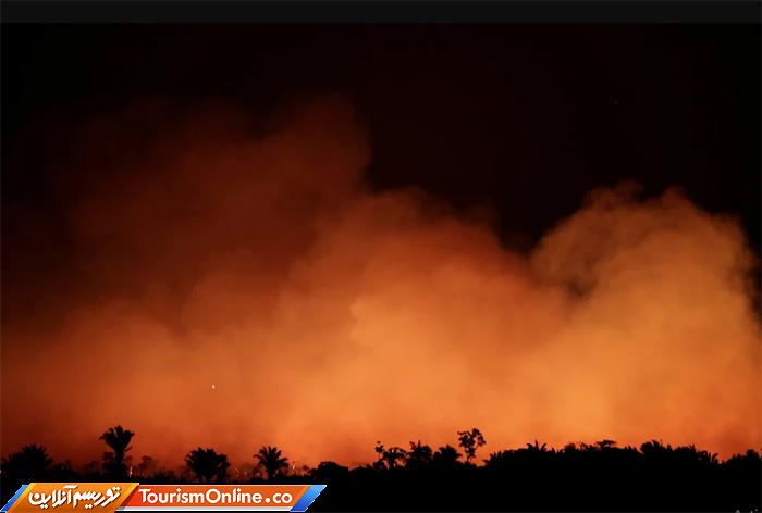 جنگلهای آمازون