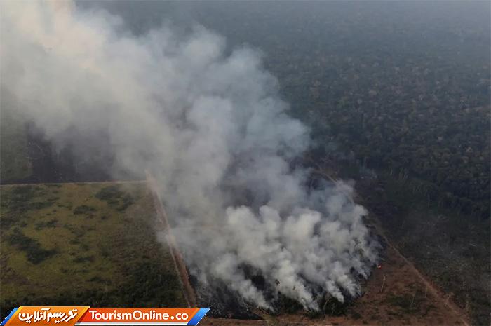 جنگلهای آمازون