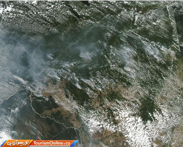 جنگلهای آمازون