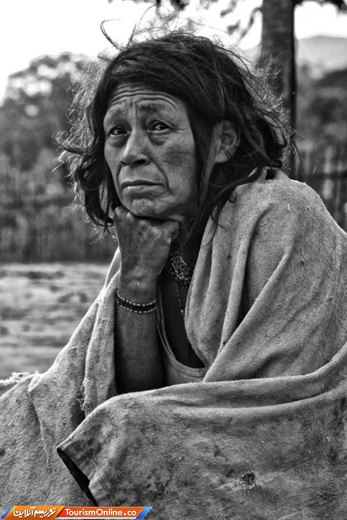 جنگلهای آمازون