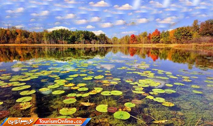 میراث طبیعی