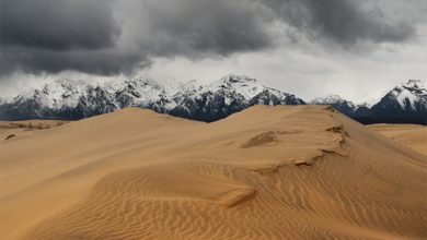 بیابان چارا