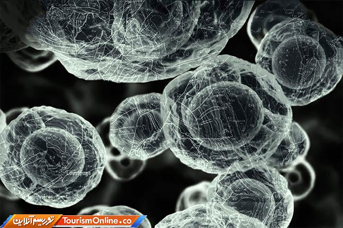 عکاس سال سوژه های علمی