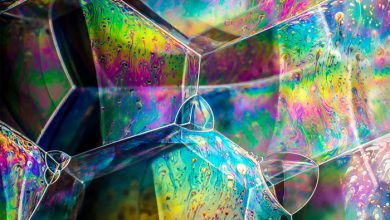 عکاس سال سوژه های علمی