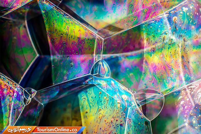 عکاس سال سوژه های علمی