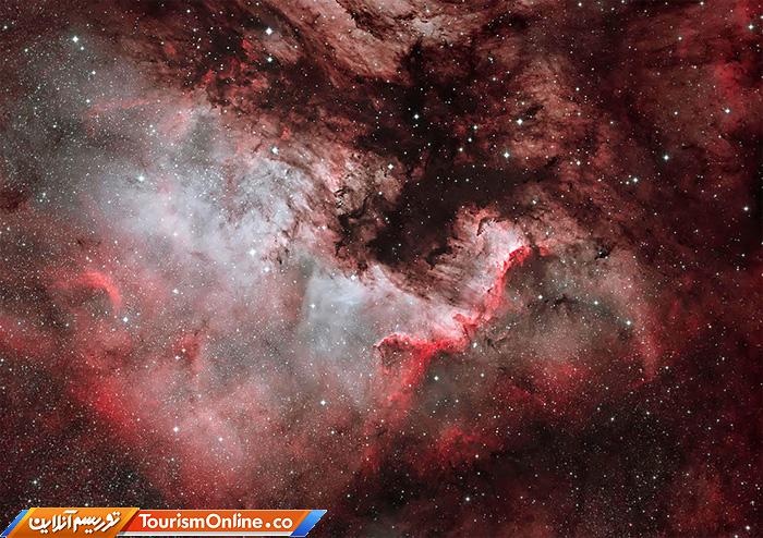 عکاس سال سوژه های علمی