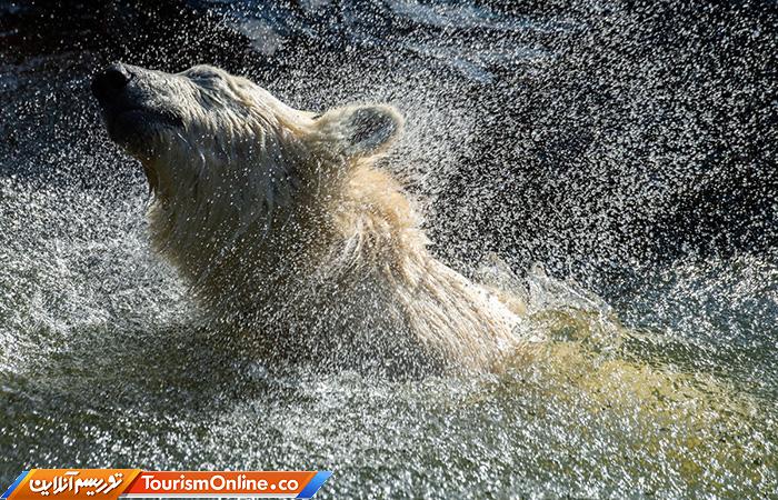 گرم ترین ماه سال