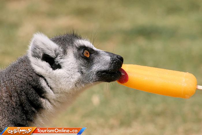 گرم ترین ماه سال