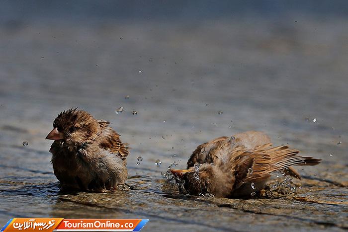 گرم ترین ماه سال