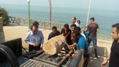 دوره ساسانی