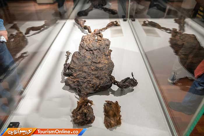 باستانشناسی و هنر سرزمین هلند