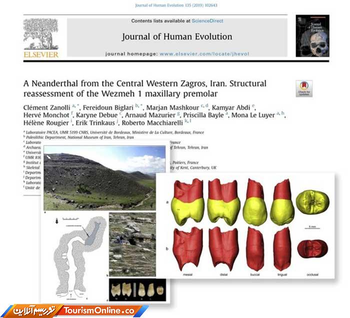 انسان نئاندرتال