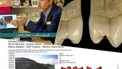 پژوهش‌های باستان‌شناسی