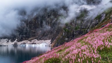 عکاسی آگورا