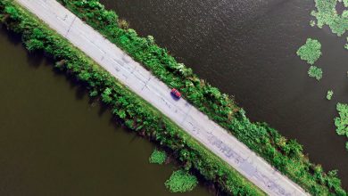 عکاسی آگورا