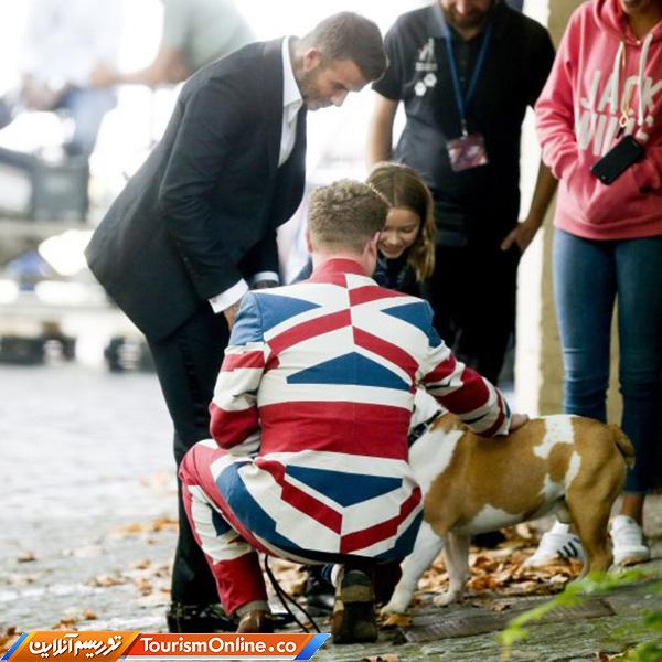 دیوید بکهام