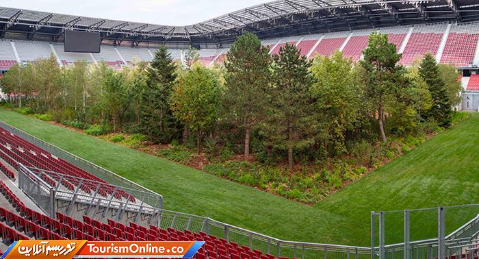 استادیوم جنگلی