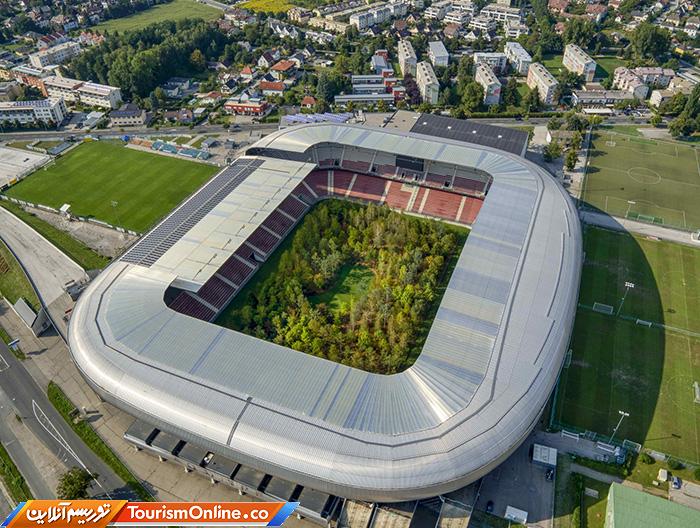 استادیوم جنگلی