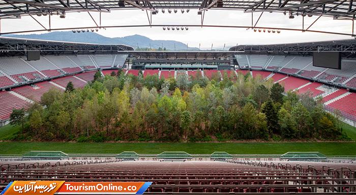 استادیوم جنگلی