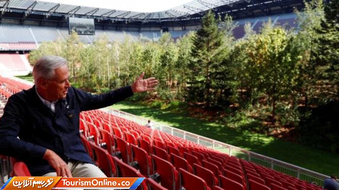 استادیوم جنگلی