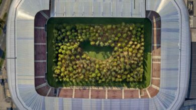 استادیوم جنگلی