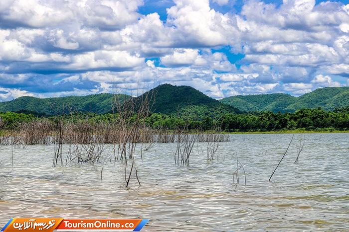 جنگلی کنگ کراچان