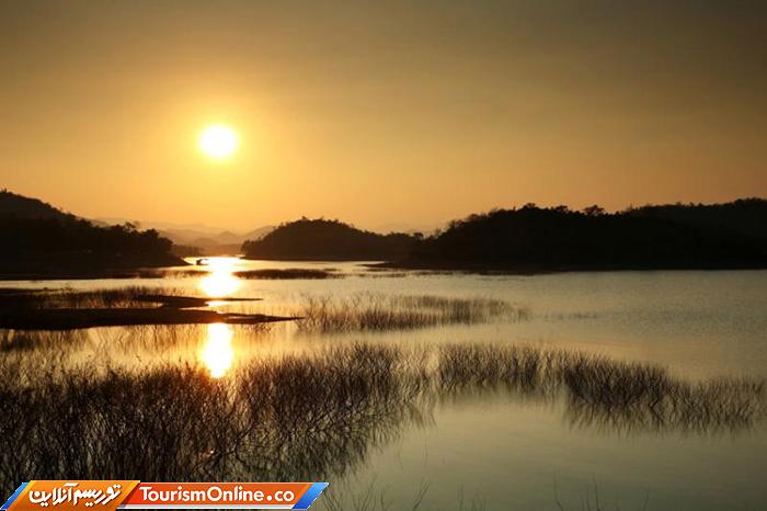 جنگلی کنگ کراچان