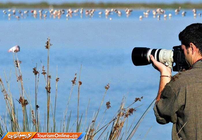 گردشگری پرنده نگری