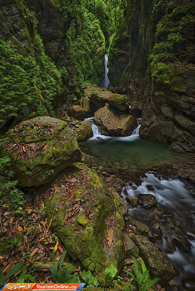 محافظت از طبیعت