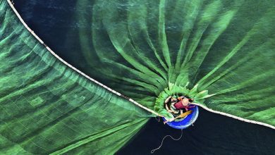 محافظت از طبیعت