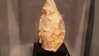 موزه الیکانته