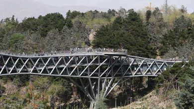 پل طبیعت/ اراضی عباس آباد