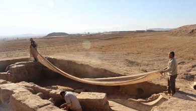 محوطه تاریخی ریوی