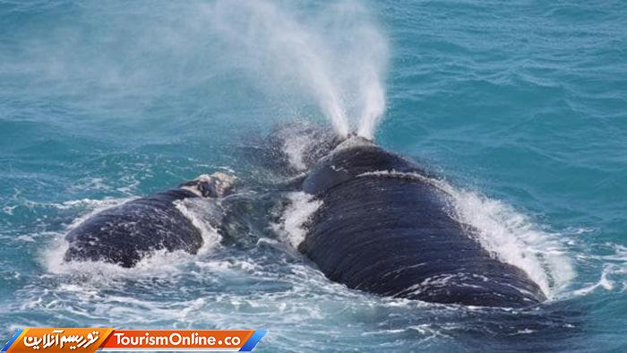 صخره های باندا