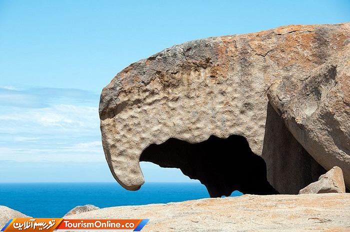 جزیره کانگورو