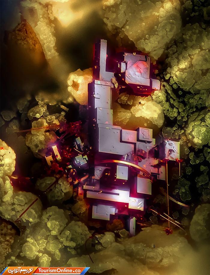 عکاسی دنیای کوچک نیکون