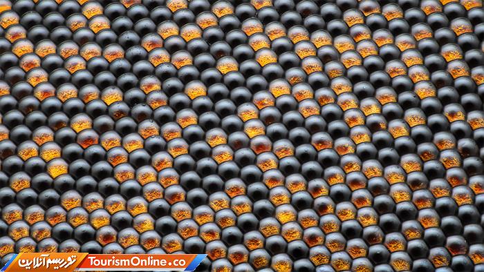 عکاسی دنیای کوچک نیکون