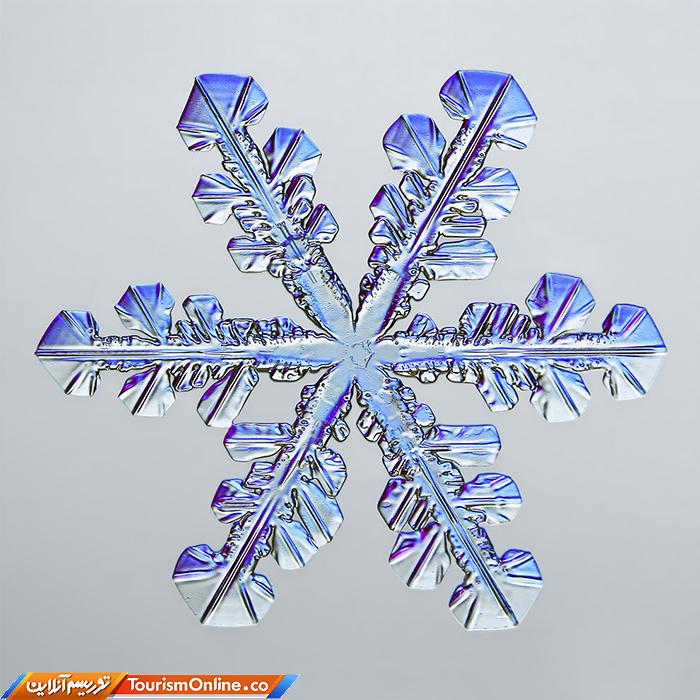 عکاسی دنیای کوچک نیکون