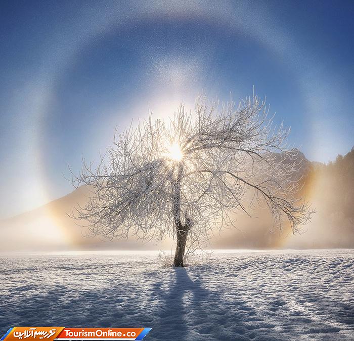 رقابت عکاسی سونی