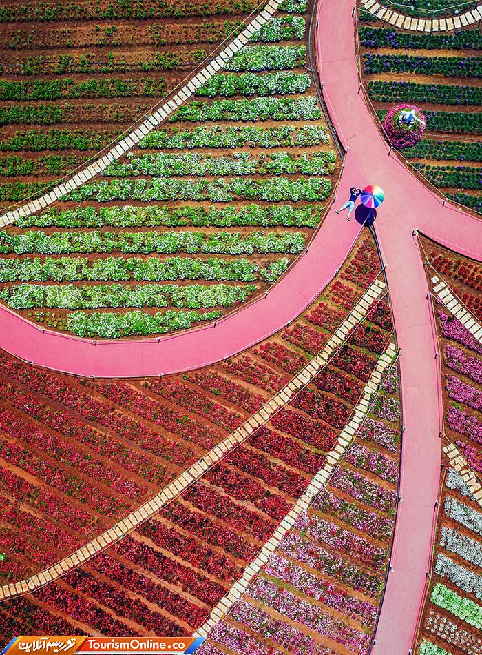 رقابت عکاسی سونی