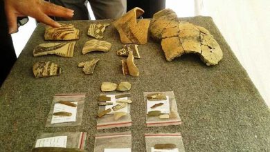 دنا و زاگرس میانی